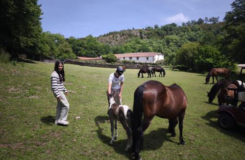Taboada Apartment | Casa Grande de Covas-Rural Boutique & Agroturismo en la Ribeira Sacra