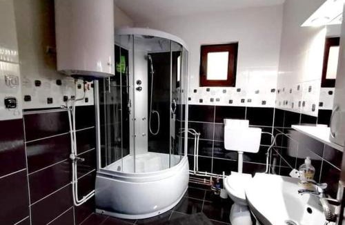 Arieseni Cabin | Casa Ianis
