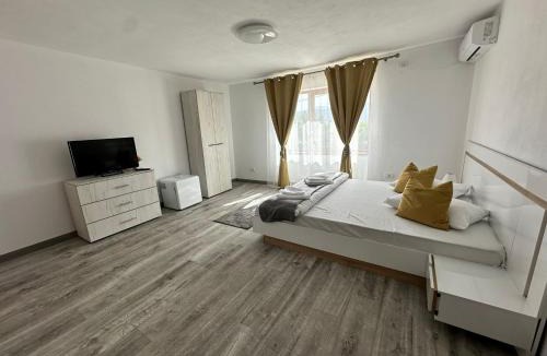 Svinita House | Casa Ilici