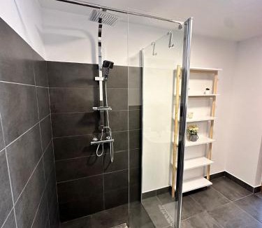 Svinita House | Casa Ilici