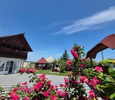 Varatec House | Casa Ilinca