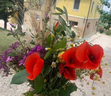 Francavilla d'Ete House | Casa in campagna la Roverella