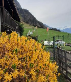 Challand-Saint-Anselme House | Casa Indipendente Val d'Ayas - Challand Saint Anselme
