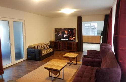 Dumbravita Villa | Casa individuală regim hotelier de închiriat