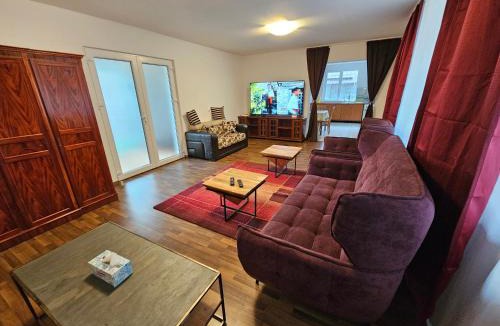 Dumbravita Villa | Casa individuală regim hotelier de închiriat