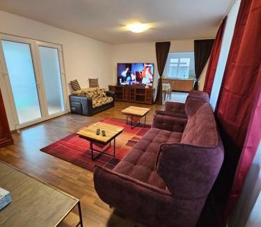 Dumbravita Villa | Casa individuală regim hotelier de închiriat