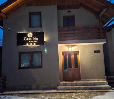 Baia-Sprie Villa | Casa Iris Mogoșa