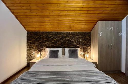 Baia-Sprie Villa | Casa Iris Mogoșa