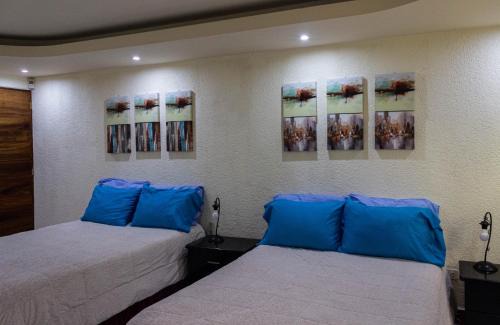 Zona 10 House | Casa Irma