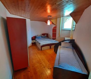Ramet House | Casa Jax