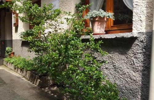 Torla-Ordesa House | Casa Julio