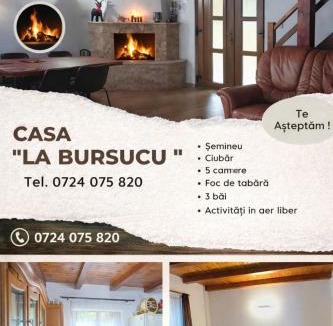 Balsa House | Casa La Bursucu