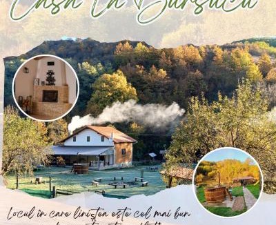 Balsa House | Casa La Bursucu