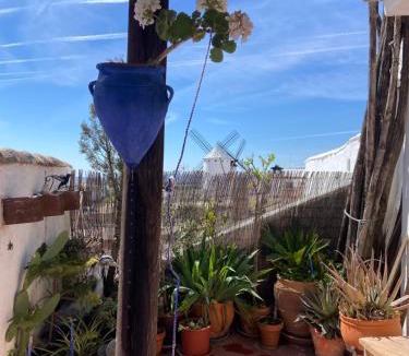 Campo de Criptana House | Casa La Maquica