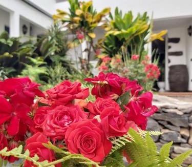 Agulo House | Casa la plaza