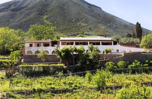 Leni House | CASA LA ROSA