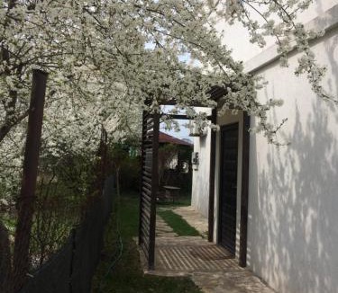 Techirghiol House | Casa Lacul Sarat