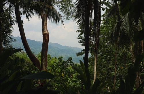 Palenque Hotel | Casa lakyum