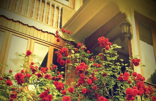 Alagna Valsesia Apartment | Casa Le Rose