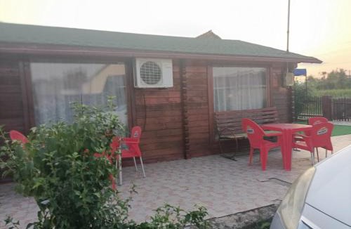 Barcea Mica House | Casa Leo