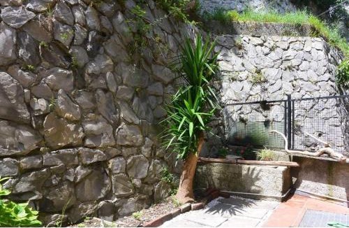 Bogliasco Apartment | Casa Leone sea&terrace