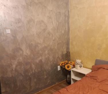 Braila Apartment | casa lidia