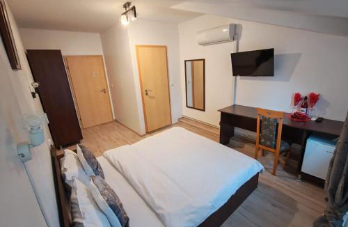 Timisoara House | Casa Lions
