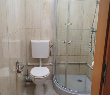 Timisoara House | Casa Lions