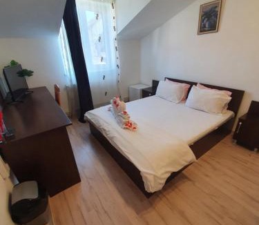 Timisoara House | Casa Lions