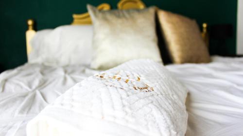 Ocosingo Hotel | Casa LOBE