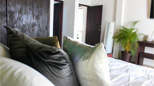 Ocosingo Hotel | Casa LOBE