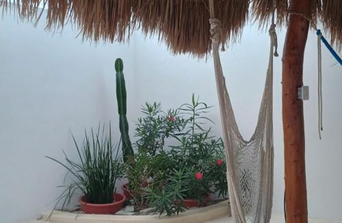 Chelem Apartment | Casa Loto D