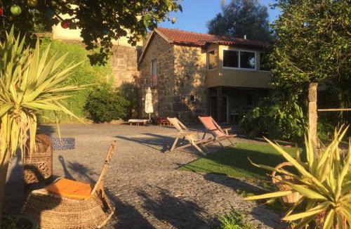 Caldelas House | Casa Magnólia