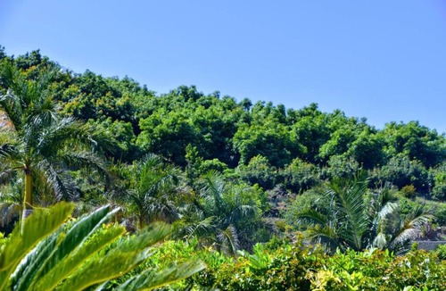 Frigiliana Villa | CASA MANGO NERJA