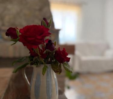 Antequera House | Casa Manila