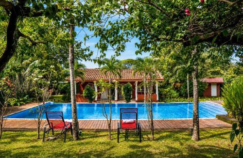 Tamarindo Bed & Breakfast | Casa Mapache Pool and Breakfast Included near Tamarindo Beach