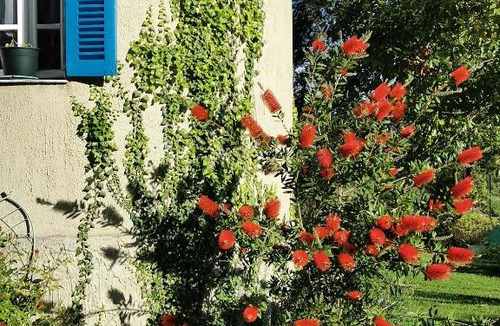 Vico House | Casa Maria