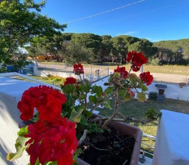 Iscra e Voes Apartment | Casa Maria