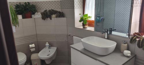 Avrig House | Casa Maria