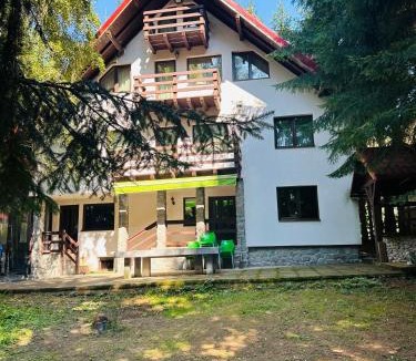 Dragoslavele Cabin | Casa Mario