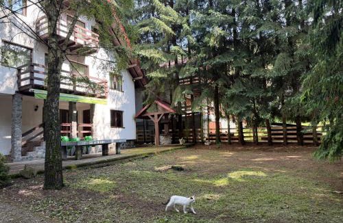 Dragoslavele Cabin | Casa Mario