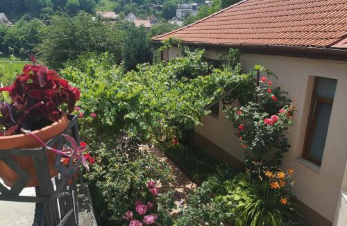 Centrul Vechi House | Casa Marius