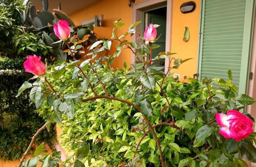 Massa Bed & Breakfast | Casa Marta