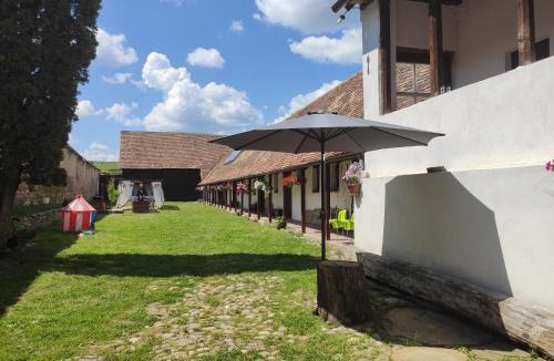 Soars House | Casa Marta