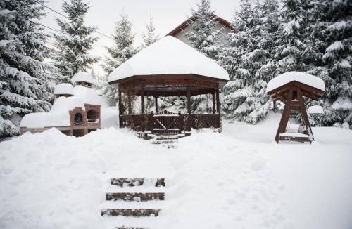 Cavnic Villa | Casa Maximia