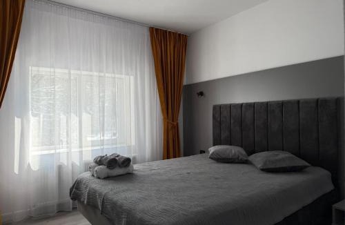 Baile Govora House | Casa Maya