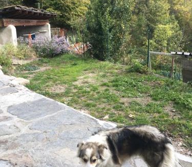 Roure House | Casa Miki