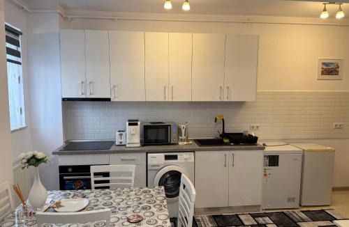 Bistrita Apartment | Casa Mini