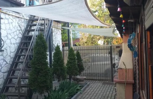 Mangalia House | Casa Mola