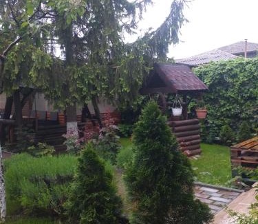 Mangalia House | Casa Mola